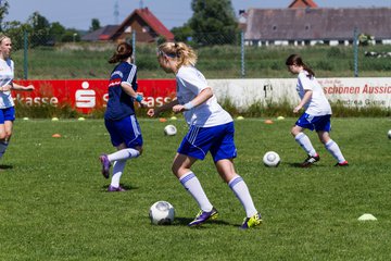 Bild 48 - Frauen SG Wilstermarsch - FSC Kaltenkirchen Aufstiegsspiel : Ergebnis: 2:1